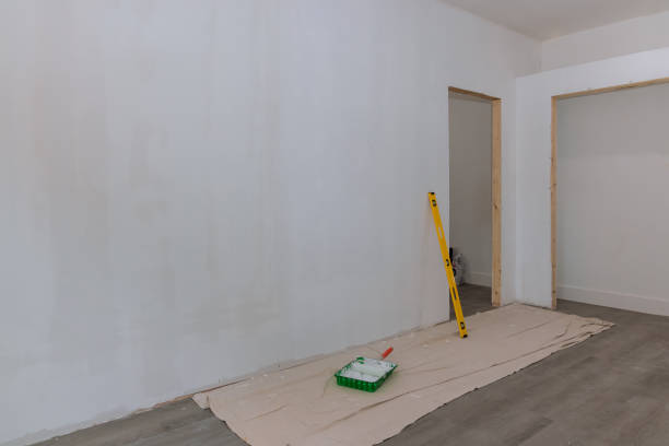 Best Drywall Installation  in Rosewood Heights, IL